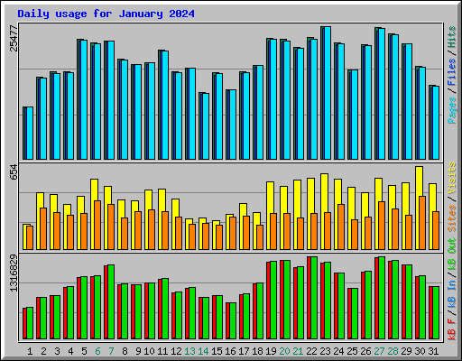 Daily usage for January 2024
