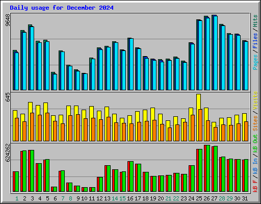 Daily usage for December 2024