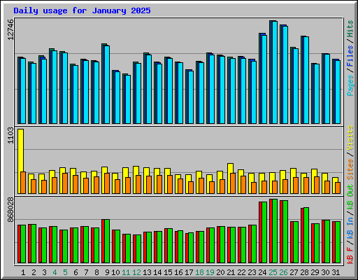 Daily usage for January 2025