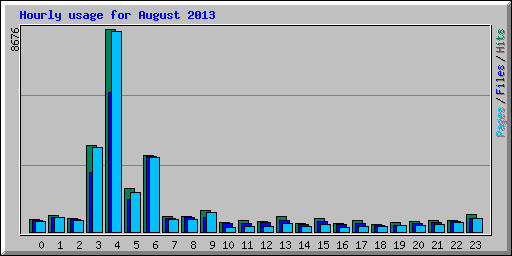 Hourly usage for August 2013