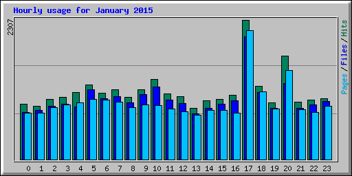 Hourly usage for January 2015