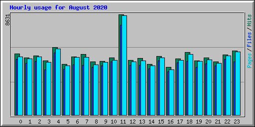 Hourly usage for August 2020
