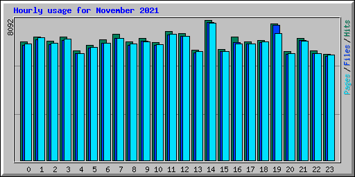 Hourly usage for November 2021