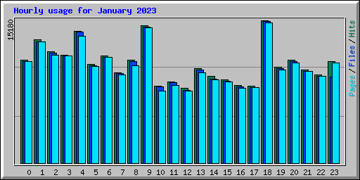 Hourly usage for January 2023