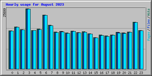 Hourly usage for August 2023