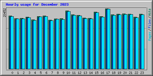 Hourly usage for December 2023