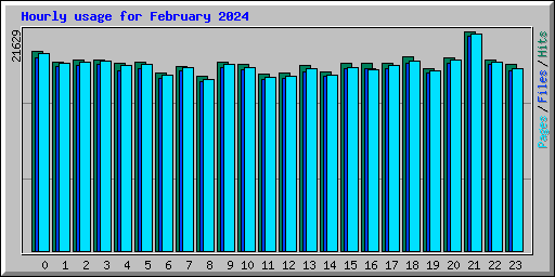 Hourly usage for February 2024