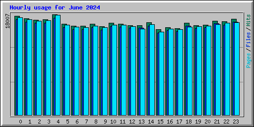 Hourly usage for June 2024