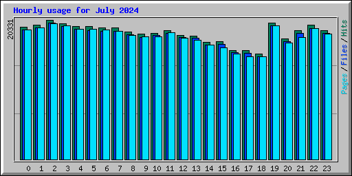 Hourly usage for July 2024