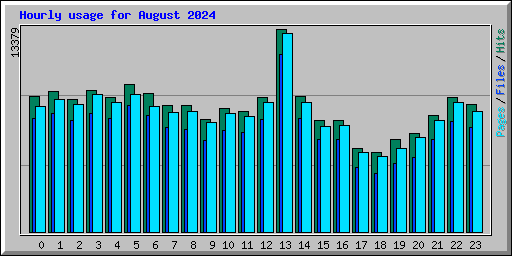 Hourly usage for August 2024