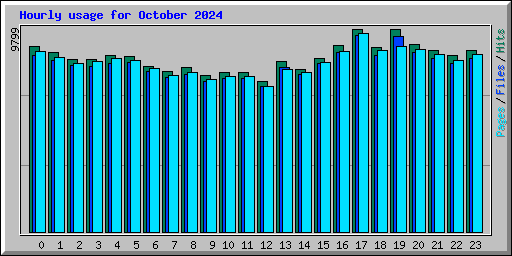 Hourly usage for October 2024