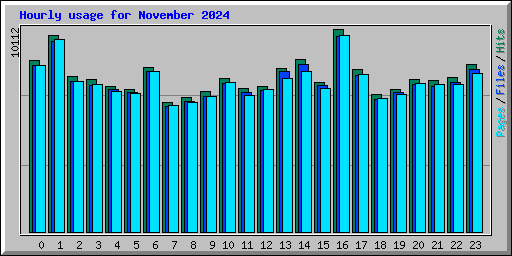 Hourly usage for November 2024
