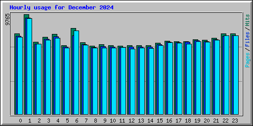 Hourly usage for December 2024