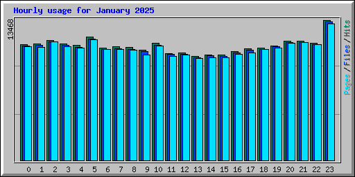 Hourly usage for January 2025