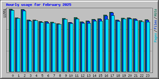 Hourly usage for February 2025