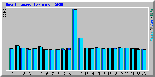 Hourly usage for March 2025