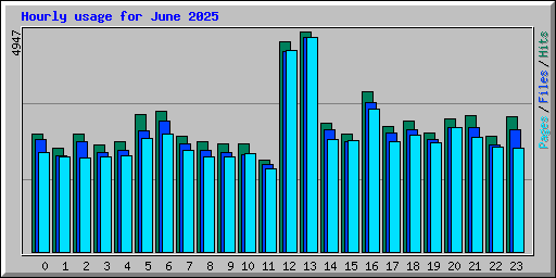 Hourly usage for June 2025