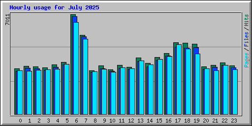 Hourly usage for July 2025