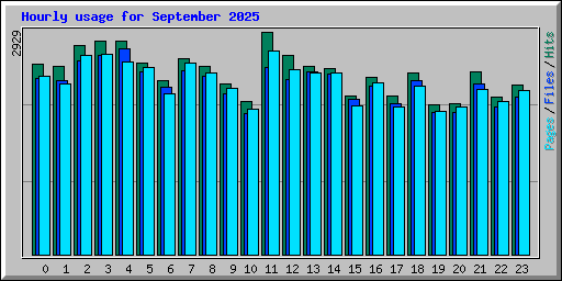 Hourly usage for September 2025