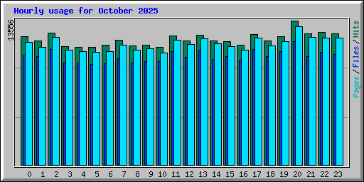Hourly usage for October 2025