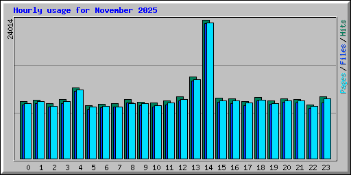 Hourly usage for November 2025