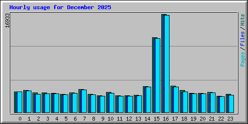 Hourly usage for December 2025