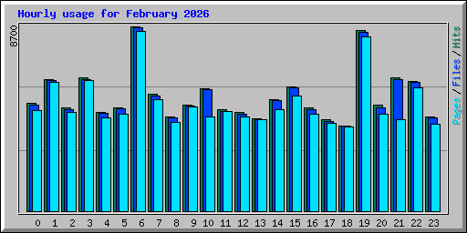 Hourly usage for February 2026